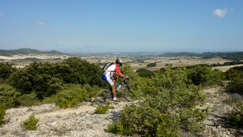 Vignobles de Tavel : On devine le Ventoux au fond