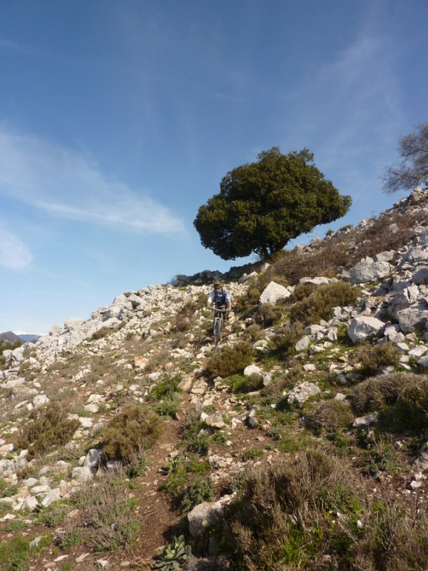 #15 Descente du sommet : Pas hyper roulant, mais ça passe Descente du sommet : Pas hyper roulant, mais ça passe