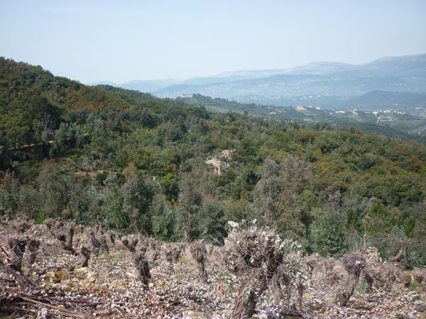 #1 arrière-pays grassois : Jolie vue depuis ce 1er single arrière-pays grassois : Jolie vue depuis ce 1er single