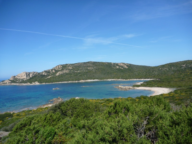 #5 arana : grandiose arana : grandiose