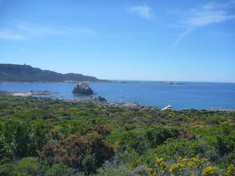 #10 baie de conca : un dernier regard sur la baie baie de conca : un dernier regard sur la baie