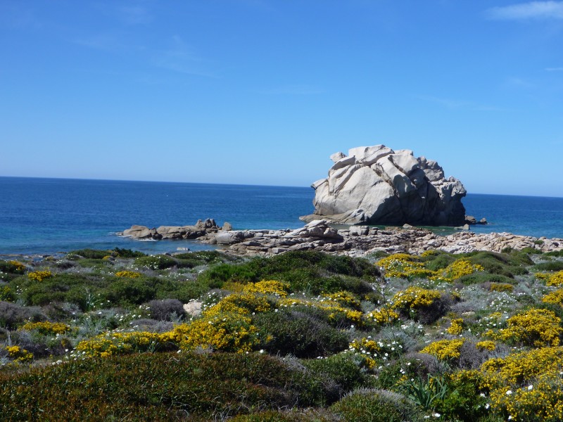 #9 rocher de la tortue : sympa non? rocher de la tortue : sympa non?