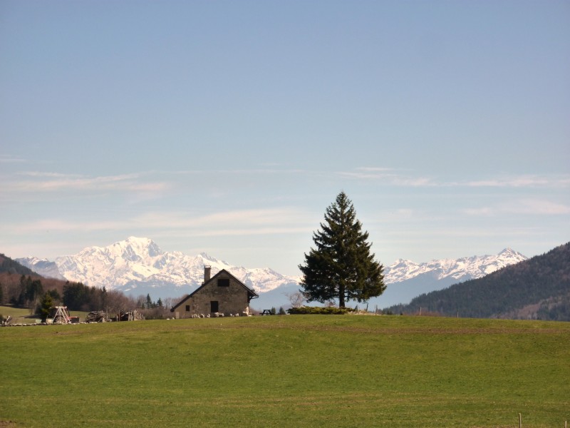 #10 Mont Blanc : Il n Mont Blanc : Il n'a pas l'air d'être si loin que ça.