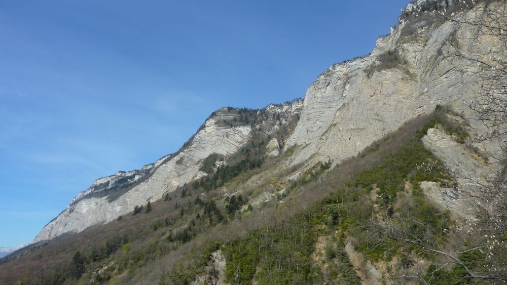 #2 Chartreuse barriere Est : la végétation reprend ses appartements d Chartreuse barriere Est : la végétation reprend ses appartements d'été