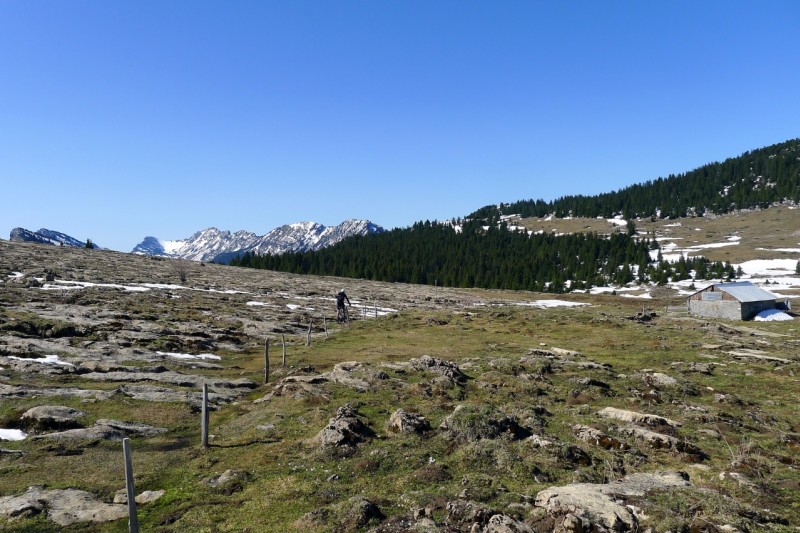 Arrivée sur le chalet de alpe : et après ça ce gâte mais d'une force !!!