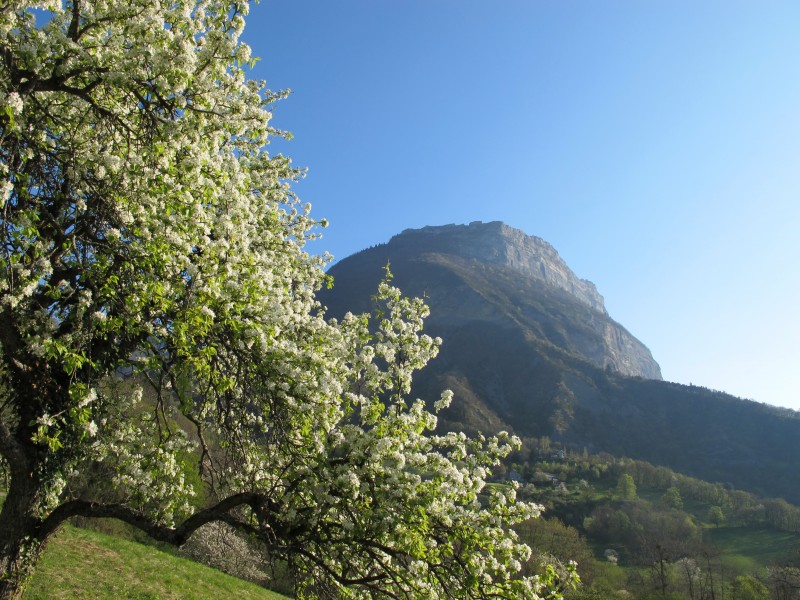 #1 saint eynard : tot le matin saint eynard : tot le matin