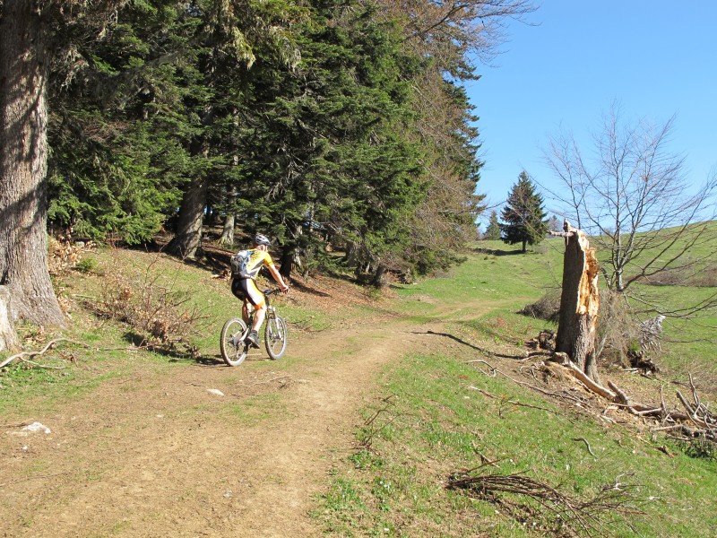 #2 le presque en haut : aller bientôt la descente le presque en haut : aller bientôt la descente