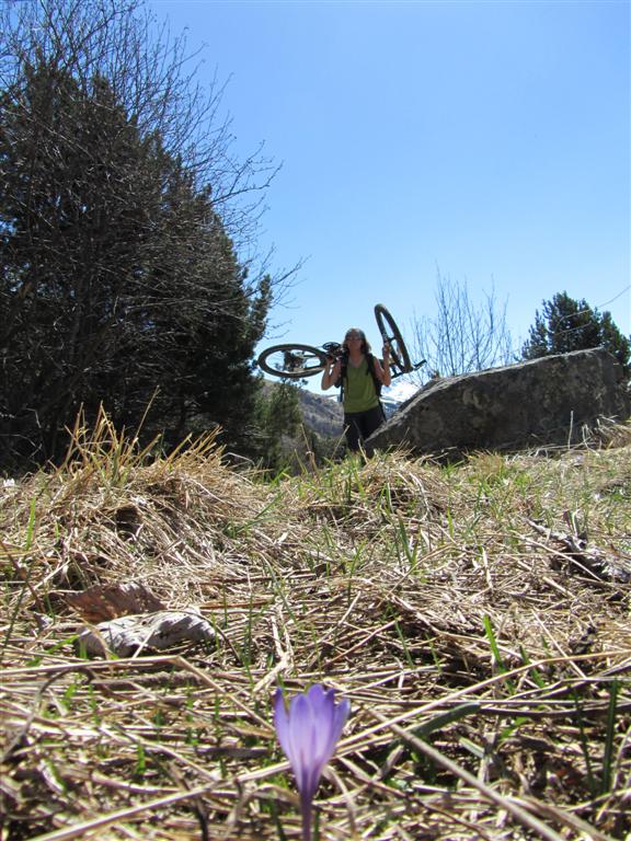 Lose au Perronnet : Oh, un 'tite fleu-fleur du printemps, mais elles portent de drôles de truc cette année !