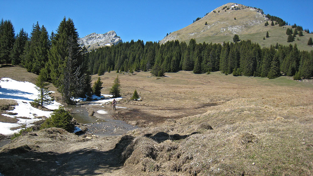 Ruisseau de Fontaine Froide : Sous-Dine et Roche Parnal au fond