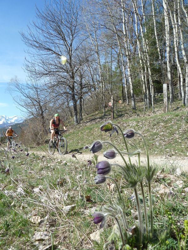 #2 C C'est le printemps