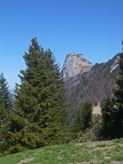#3 Roche Murraz : Depuis les chalets de l Roche Murraz : Depuis les chalets de l'Aulp