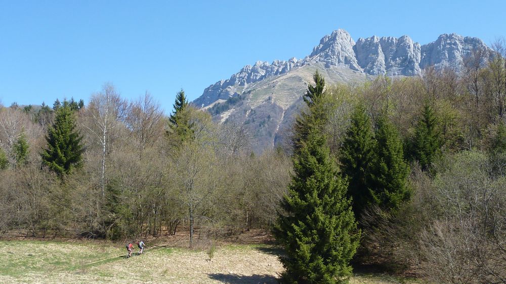 #4 Clairiere : un des rares portions roulantes entre le col du Frene et le col du Potat Clairiere : un des rares portions roulantes entre le col du Frene et le col du Potat