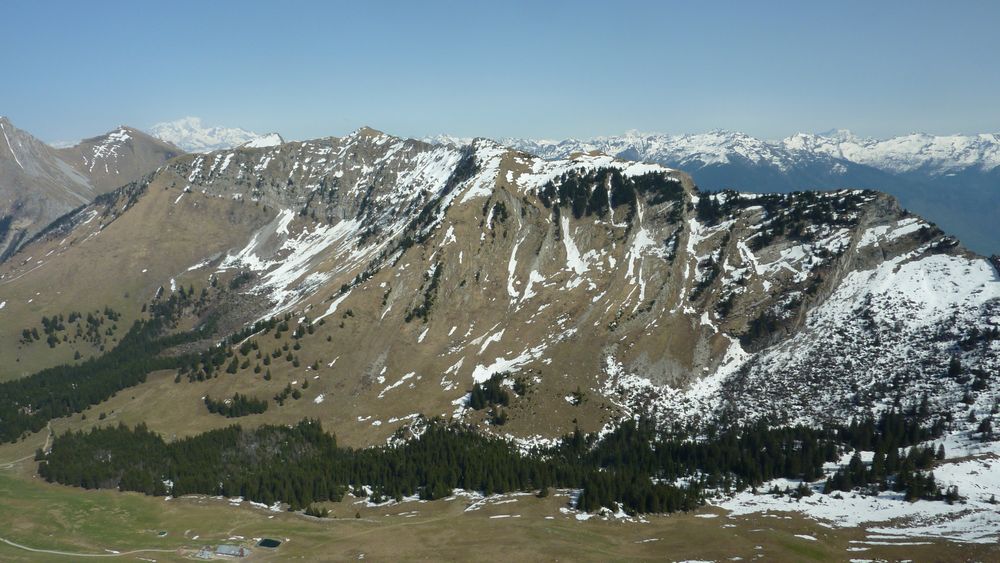 #8 Printemps : quelques résidus de neige sous le chapeau de Napoléon Printemps : quelques résidus de neige sous le chapeau de Napoléon