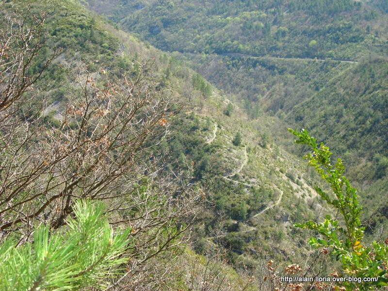 #16 Saint Benoît : Single d Saint Benoît : Single d'Aucelon