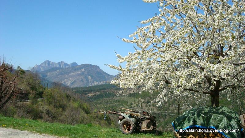 Saint Benoît : Vue sur les 3 becs