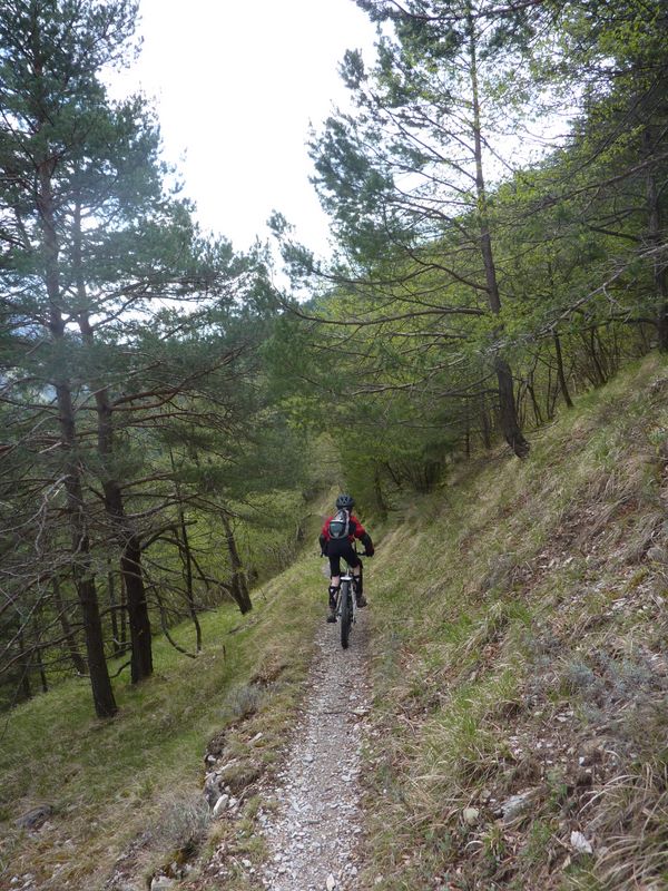 #4 Vallon de Peïra Cava : Direction Moulinet Vallon de Peïra Cava : Direction Moulinet