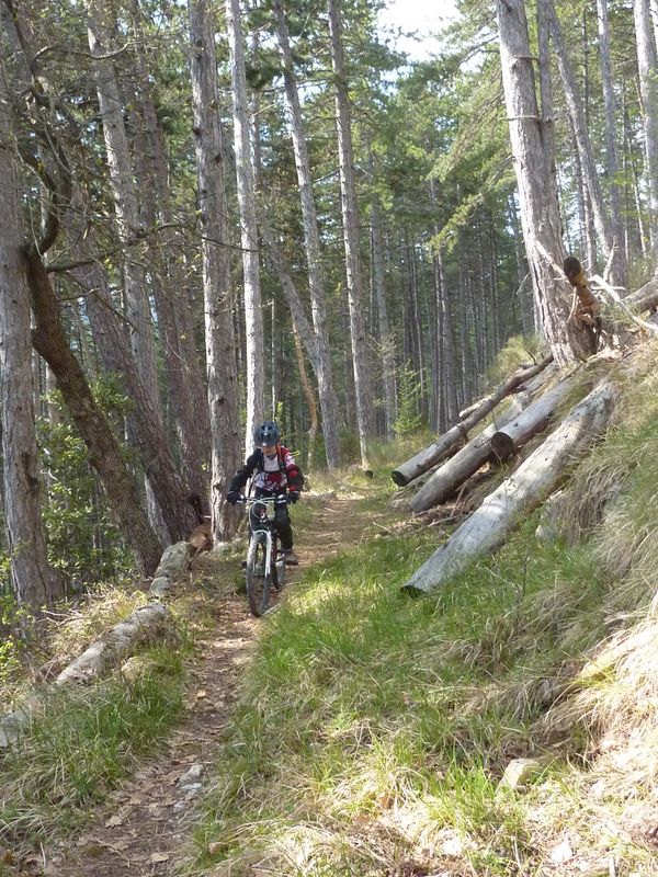 #19 Sentier du Clapou : Le début est pépère Sentier du Clapou : Le début est pépère