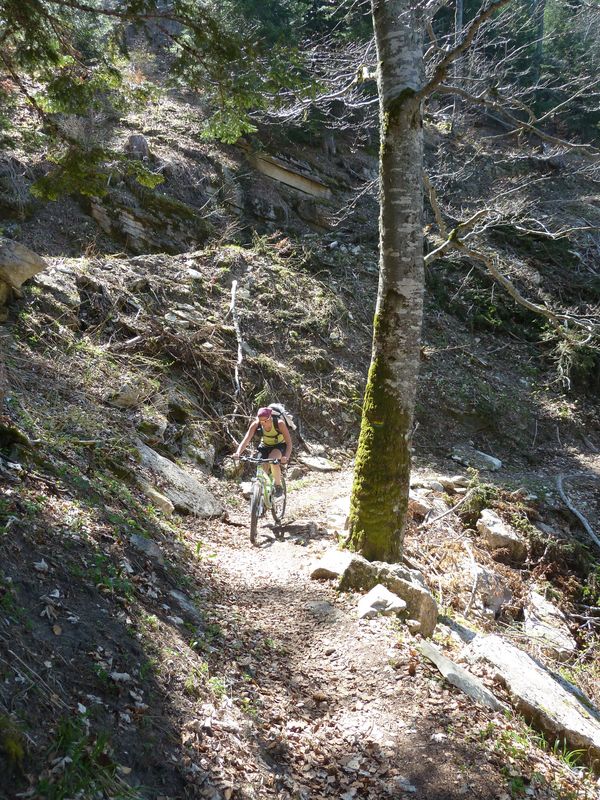 1ère montée : Agréable surprise ce petit sentier !