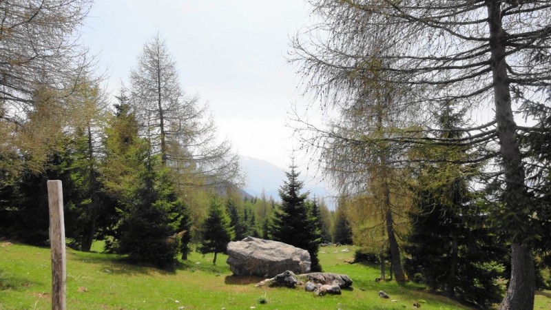 #5 sous le col : bucolique sous le col : bucolique