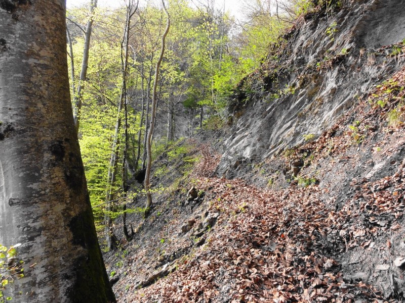 sentier : étroit et expo (bien plus en vrai que la photo !)