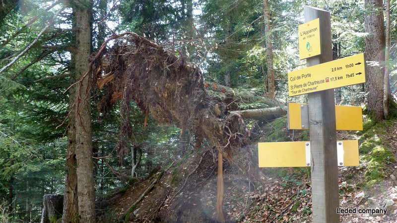 #9 L L'Appanon : Un itinéraire bien boueux pour redescendre au plus vite sur le Sappey. Serait-ce le même arracheur de dents?