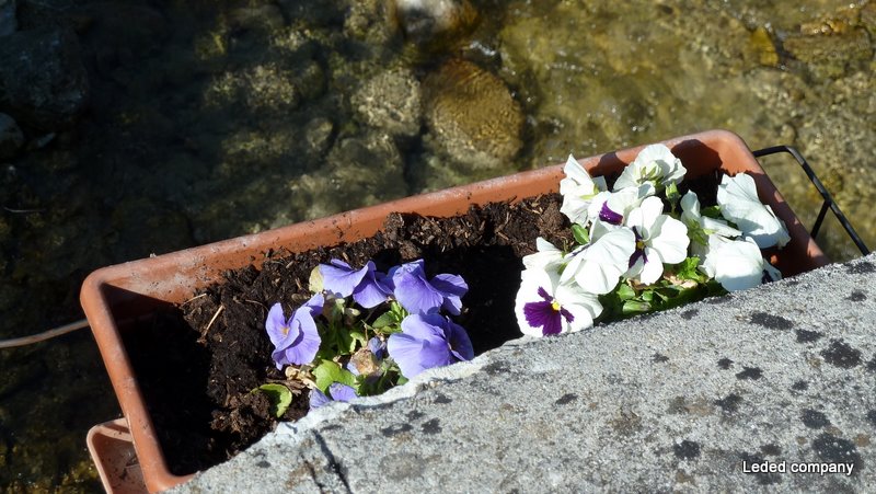 #2 Romeyer : 1 jardinière Romeyer : 1 jardinière