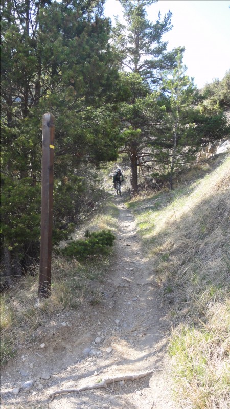 Torrent de Sachas : Fin de la descente plus sèche mais toujours aussi bonne !