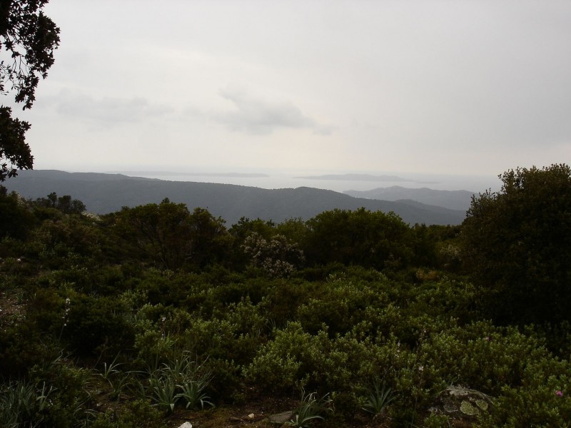 Iles : Île du Levant et Port-Cros