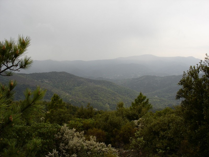 Gris : Notre Dame des Anges au loin, depuis la crête de la Verne