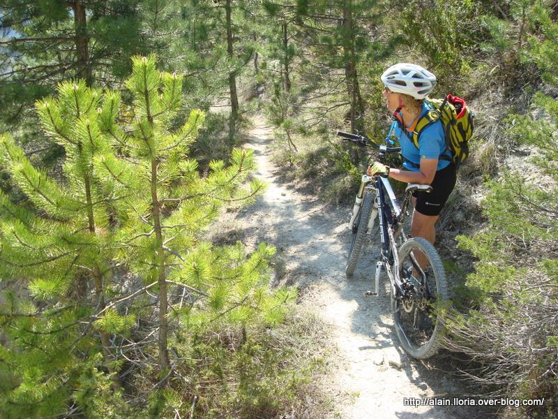 Saint Benoît : Observation de la faune dans la descente sur Les Gleizolles