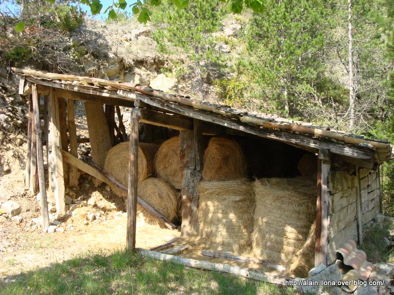 Saint Benoît : Vue au Gleizolles