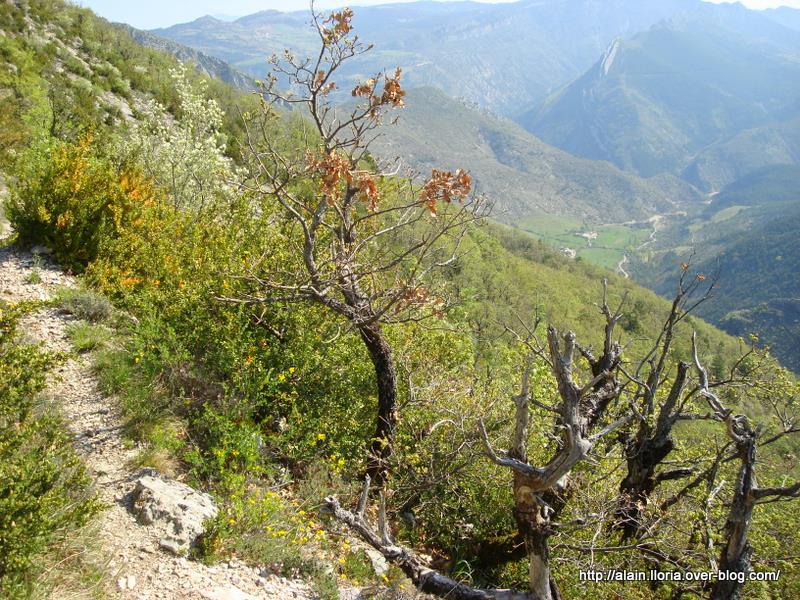 Saint Benoît : Descente vers les Gleizolles