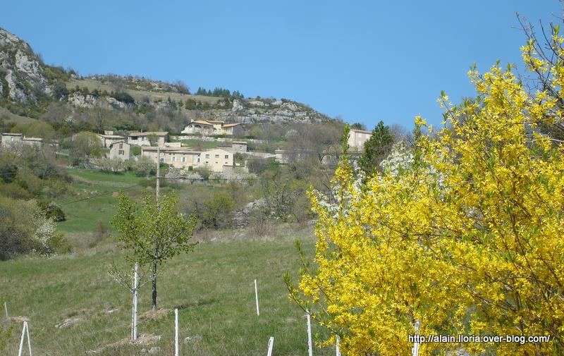 Saint Benoît : Rimon