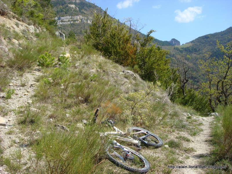 Saint Benoît : Sentier montant à mis parcours (plateau de La Pâle ?)