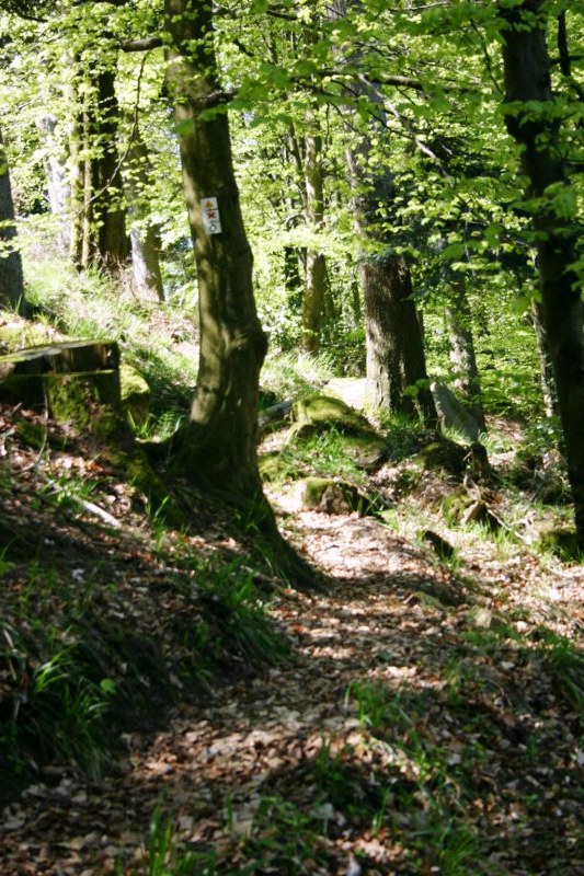 #3 Descente : Début de la descente vers La Trouche: slalom entre les rochers Descente : Début de la descente vers La Trouche: slalom entre les rochers