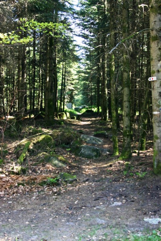#2 Sentier : En route vers le col de la crois collée, sentier cheminant sur la crète Sentier : En route vers le col de la crois collée, sentier cheminant sur la crète