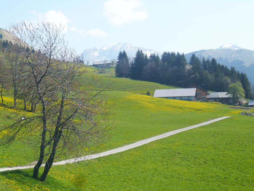 #4 Ferme de Tincove Ferme de Tincove