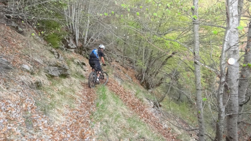 #8 Bois de la Baume : Et ça tourne, et ça tourne ... Bois de la Baume : Et ça tourne, et ça tourne ...