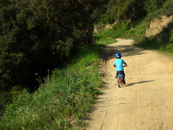 #1 Piste des Harkis : Hyper-vitesse !! Comme il dit ! Piste des Harkis : Hyper-vitesse !! Comme il dit !