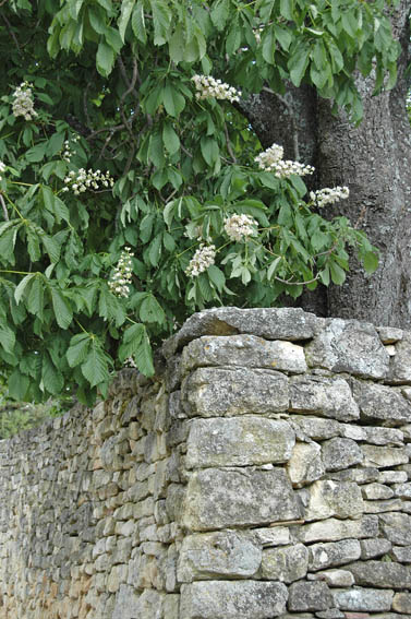 #7 Lubéron : Sivergues Lubéron : Sivergues