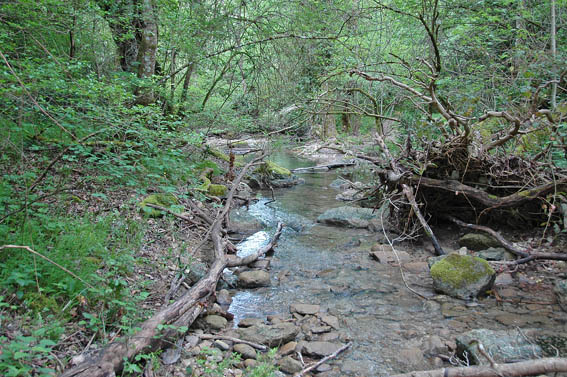 #9 Lubéron : Vallon de l Lubéron : Vallon de l'Aiguebrun