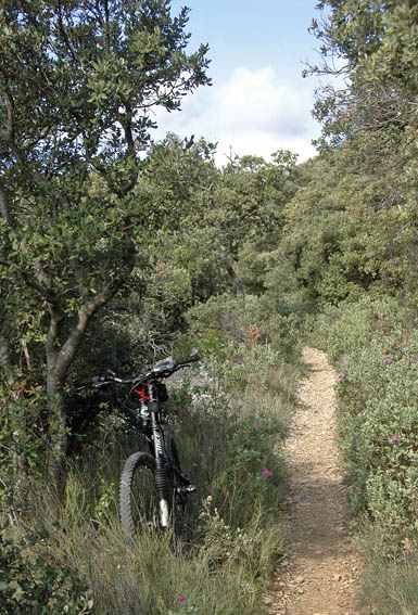 #1 Lubéron : Sentier de Roumagoua Lubéron : Sentier de Roumagoua