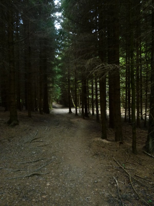 col de Potat : j'adore ce passage dans la forêt très sombre au début du sentier ..