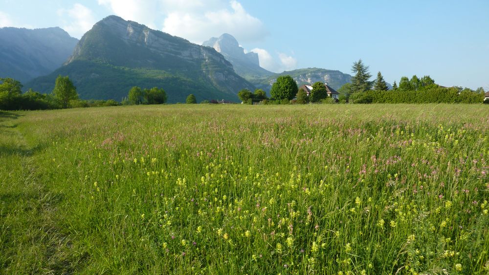 #7 Printemps : la combe du Mannival est à gauche Printemps : la combe du Mannival est à gauche