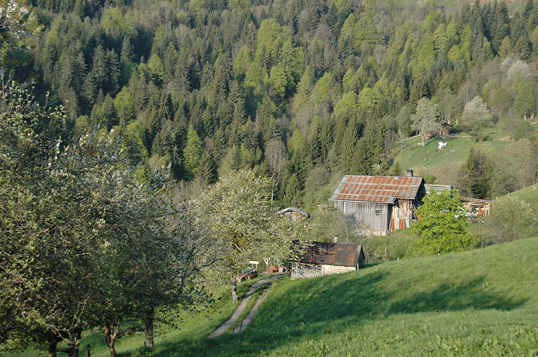 Sommet du Treu : Fermes avant Chaucisse