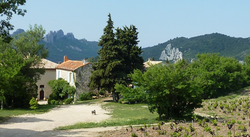 Château Neuf Retordier : Y'a pire comme endroit !!!