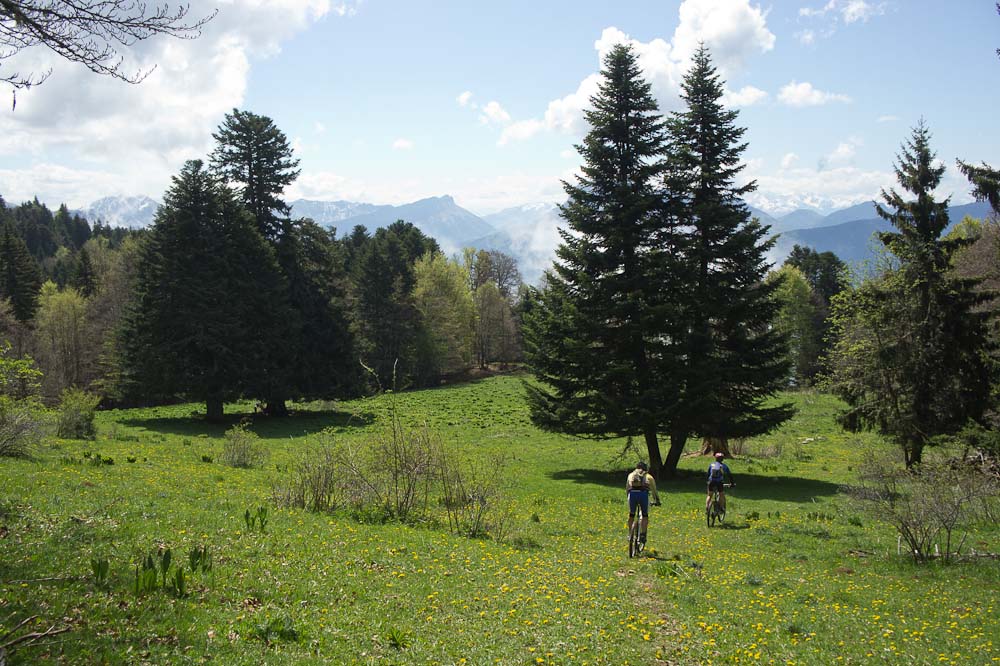 #6 Clairière vers 1450 : on quitte le GR par la gauche Clairière vers 1450 : on quitte le GR par la gauche