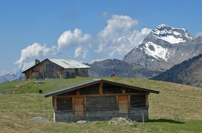 Tête de Torraz : Chalets de La Char