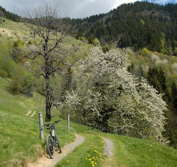 Tête de Torraz : Chalets de Tandieu