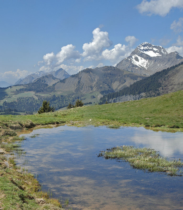 Tête de Torraz : Lac de la Char, Mont Charvin